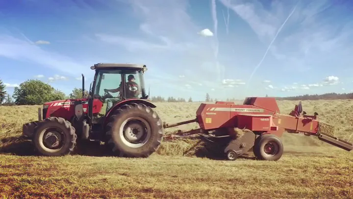 Gallery image 2